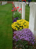 [image] Cemetary Flowers