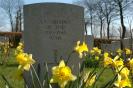Spring Daffodils in Sola Churchyard -Hans-J�rgen Wallin Weihe 