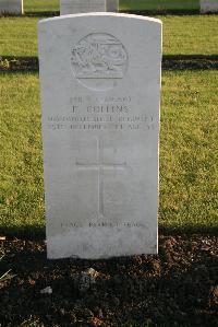 Calvaire (Essex) Military Cemetery - Collins, Frank