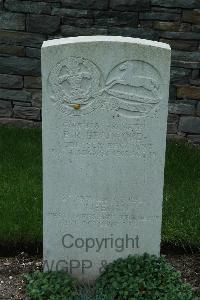 Sarralbe Military Cemetery - Meegan, T