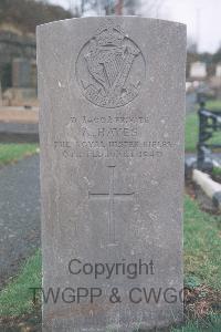 Holywood Cemetery - Hayes, Alfred