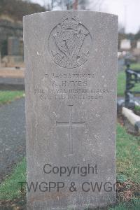 Holywood Cemetery - Hayes, Alfred