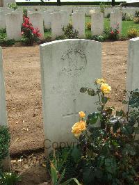 Serre Road Cemetery No.2 - McGillivray, Donald