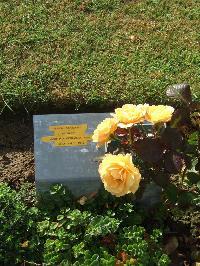 Serre Road Cemetery No.2 - Richley, John