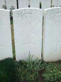 Serre Road Cemetery No.2 - Staines, Thomas