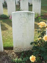 Serre Road Cemetery No.2 - Wilkins, Alfred