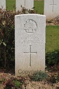 Serre Road Cemetery No.2 - Willard, Frederick