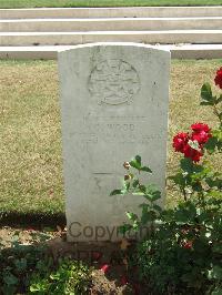 Serre Road Cemetery No.2 - Wood, Charles
