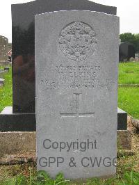 Omagh New Cemetery - Elkins, W