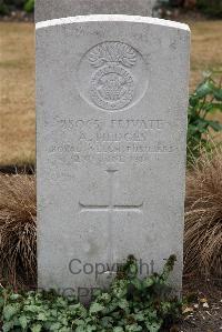 St. Sever Cemetery Extension Rouen - Hedges, A