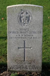 St. Sever Cemetery Extension Rouen - Llewellyn, Gwynedd Violet
