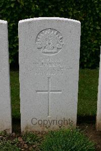 Warloy-Baillon Communal Cemetery Extension - Nelson, William John