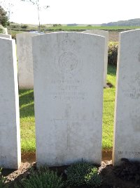 Warloy-Baillon Communal Cemetery Extension - Pitt, G