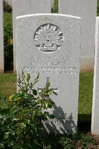 Warloy-Baillon Communal Cemetery Extension - Riley, Frank William