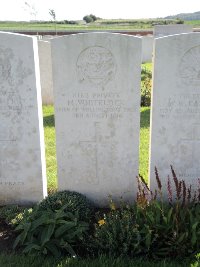 Warloy-Baillon Communal Cemetery Extension - Whitelock, M