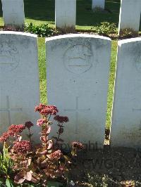 Zouave Valley Cemetery Souchez - Stones, T