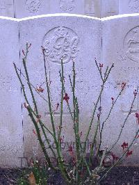 Brookwood Military Cemetery - Knowles, Harold
