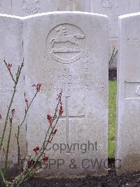Brookwood Military Cemetery - Knowles, J T