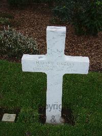 Brookwood Military Cemetery - Nagels, Harvey