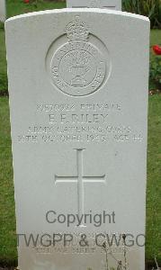 Brookwood Military Cemetery - Riley, Harold