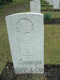 Brookwood Military Cemetery - Steed, Thomas Walter