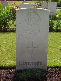 Brookwood Military Cemetery - Salter, Robin