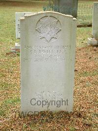 Brookwood Military Cemetery - Taylor, Sd