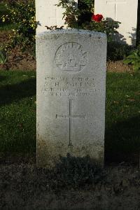 Messines Ridge British Cemetery - Collins, Michael Henry