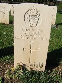 Minturno War Cemetery - Budd, William Thomas