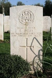 Minturno War Cemetery - Daley, Robert
