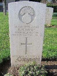 Minturno War Cemetery - Davey, Reginald Henry