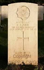 Minturno War Cemetery - Dodd, Frederick James