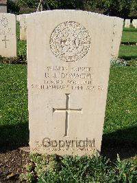 Minturno War Cemetery - Donachy, Daniel Joseph