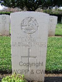 Minturno War Cemetery - Gibbs, Albert Leslie
