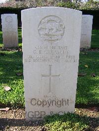 Minturno War Cemetery - Greasley, George Edward