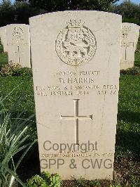 Minturno War Cemetery - Harris, David
