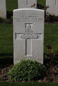 Perth Cemetery (China Wall) - Handley, John Mayor