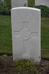 Bedford House Cemetery - Proctor, Willie