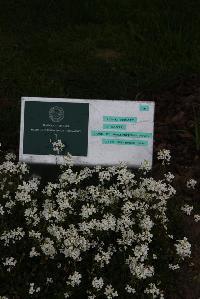 Bedford House Cemetery - Scott, J