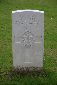 Bedford House Cemetery - Wills, A E