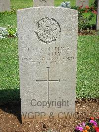 Jerusalem War Cemetery - Bertie, R F N