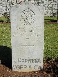 Jerusalem War Cemetery - Bolger, Patrick