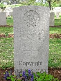 Jerusalem War Cemetery - Crawley, M N