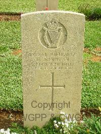 Jerusalem War Cemetery - Donovan, D