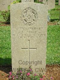 Jerusalem War Cemetery - Dowling, A V
