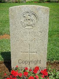 Jerusalem War Cemetery - Field, A E