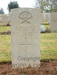 Jerusalem War Cemetery - Griffiths, J T