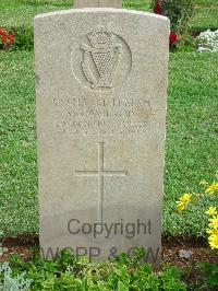 Jerusalem War Cemetery - Wilkins, S R