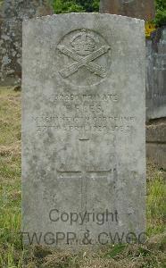 Merthyr Tydfil (Aberfan) Cemetery - Rees, Trevor