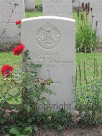 Strand Military Cemetery - Bushby, E